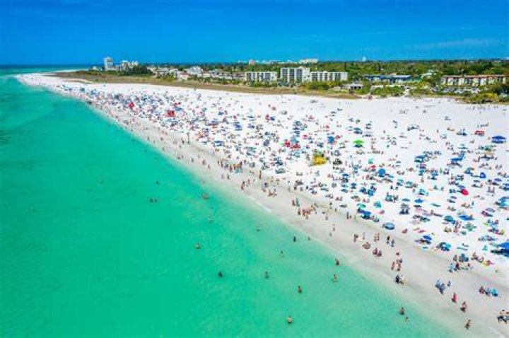 Siesta Key's Amanda Miller and Jared Kelderman Spill Secrets of the