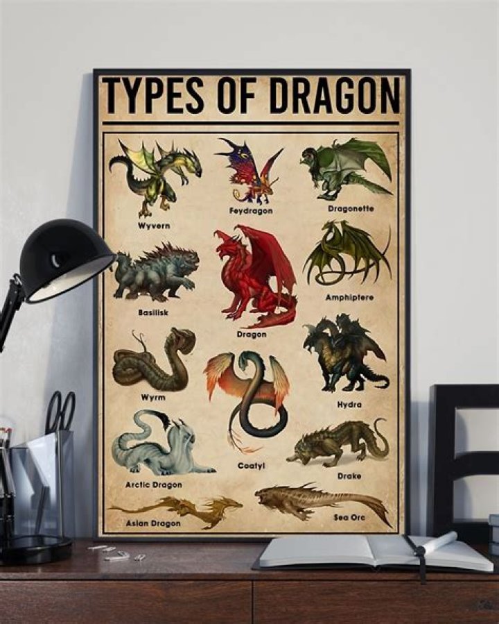 Types Of Dragon poster Types of dragons, Dragon artwork, Dragon art